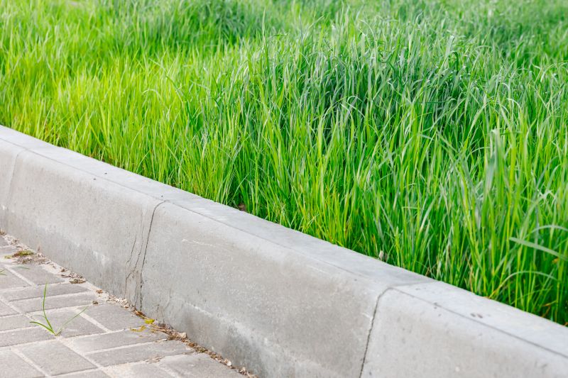 Curb Cutting Service in Corpus Christi, TX